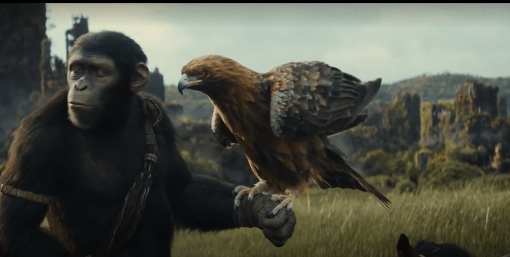 Nowa "Planeta Małp" z rozczarowującym wynikiem Box Office