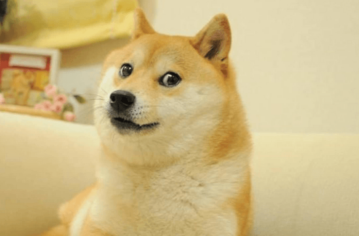 Popularny Pieseł nie żyje