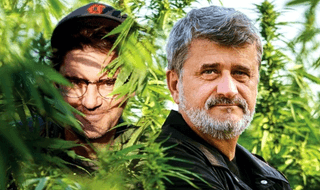 Wojewódzki i Palikot pozwani