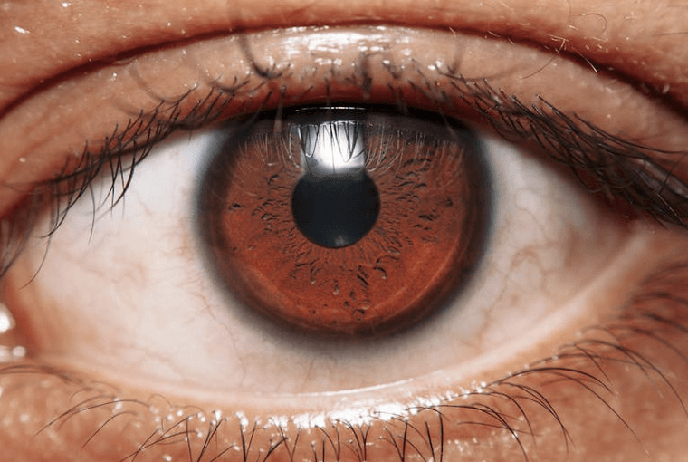 Firma Elona Muska pracuje nad chipem mogącym przywrócić wzrok niewidomym