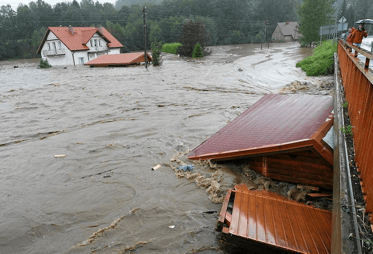 Czy rząd poradził sobie z powodzią? Sondaż